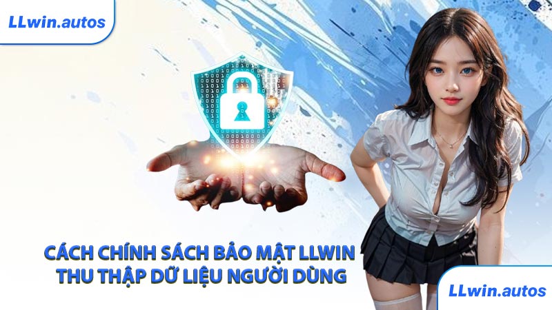 Cách chính sách bảo mật LLWIN thu thập dữ liệu người dùng