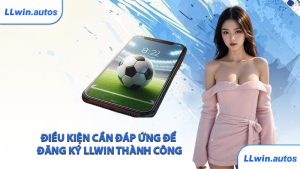 Điều kiện cần đáp ứng để đăng ký LLWIN thành công