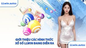 Giới thiệu các hình thức xổ số LLWIN đang diễn ra