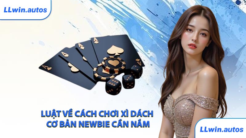 Luật về cách chơi xì dách cơ bản newbie cần nắm