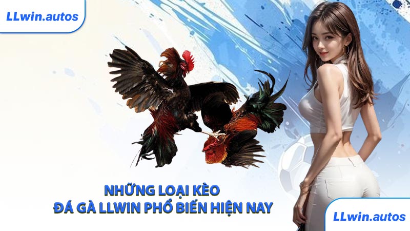 Những loại kèo đá gà LLWIN phổ biến hiện nay