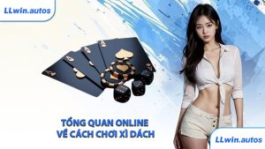 Tổng quan online về cách chơi xì dách